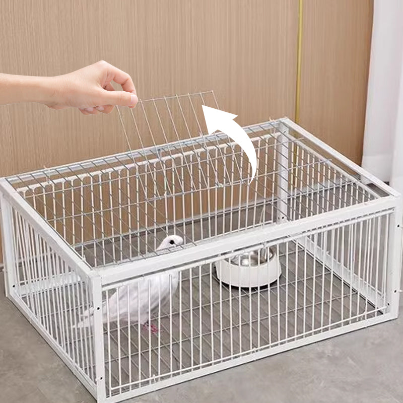 Diervriendelijke Vogelval met Terugslagbeveiliging – BirdSafe Val