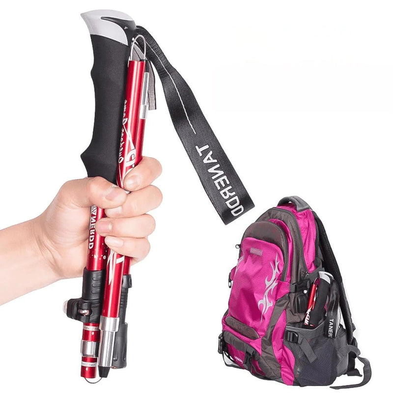 TrailMaster Wandelstokken - Verstelbaar en Lichtgewicht Design