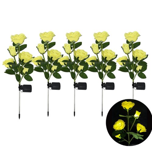 Roses | Creëer een prachtige sfeer in uw tuin!